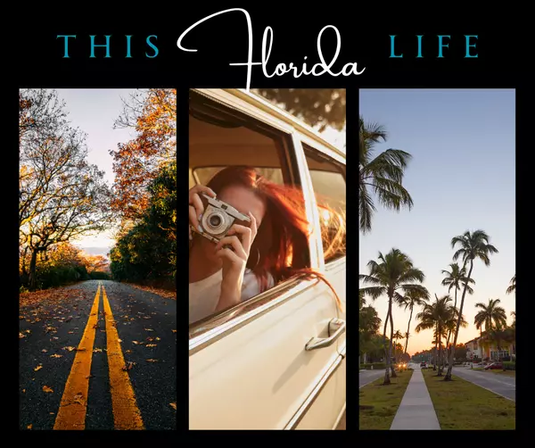Scenic Drives & Best Spots to Catch Fall Colors (Florida Edition)