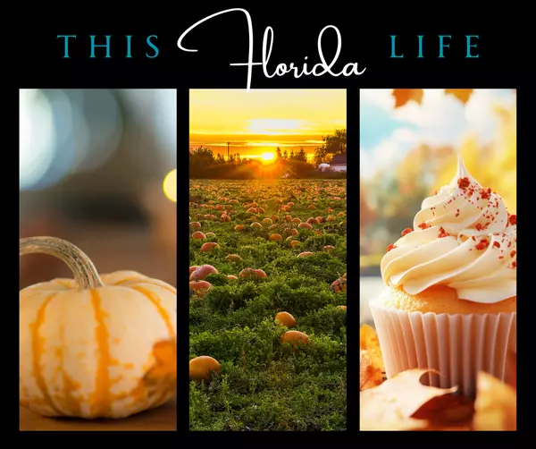Florida Fall Bucket List: Adventures Beyond the Beach