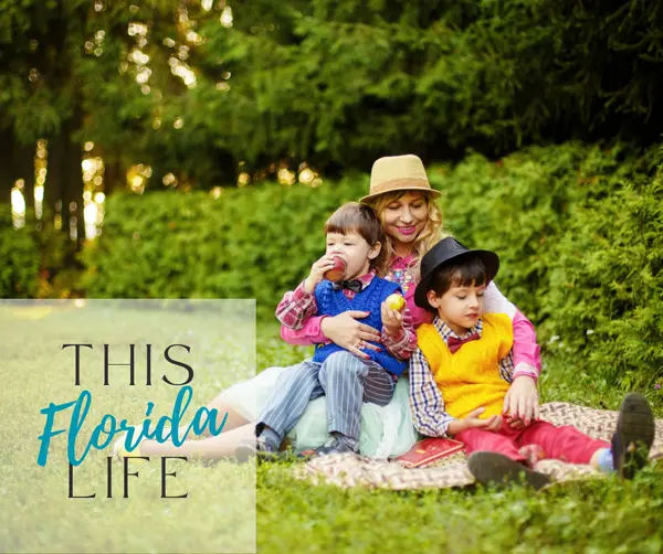 Best Parks in Clay County for Families