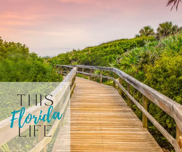 Is Middleburg Right for You? A Community Deep Dive