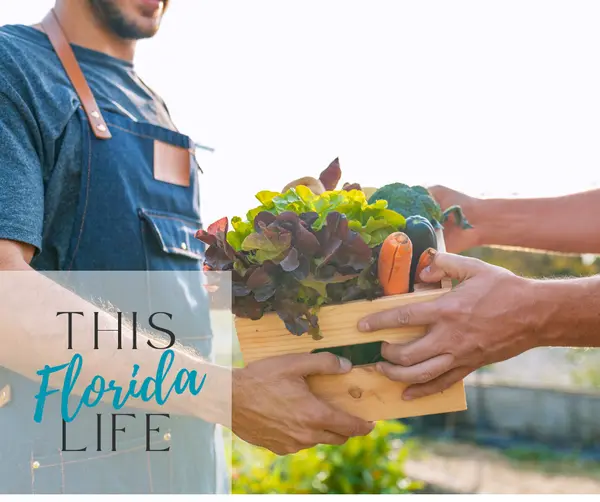 Green Cove Springs: The Heartbeat of Clay County,Kristie Hamilton