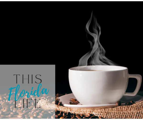 Where to Grab the Best Coffee in Clay County