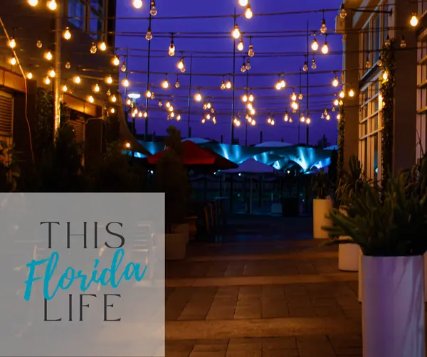 Best Places for Live Music & Local Entertainment