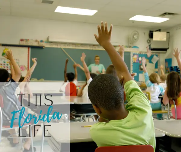 School District Overview + Why Parents Love Clay County Schools