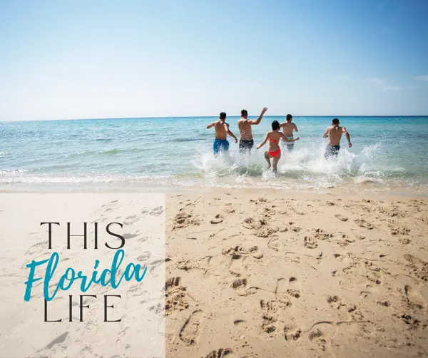 Beach Day Guide for Clay County Locals