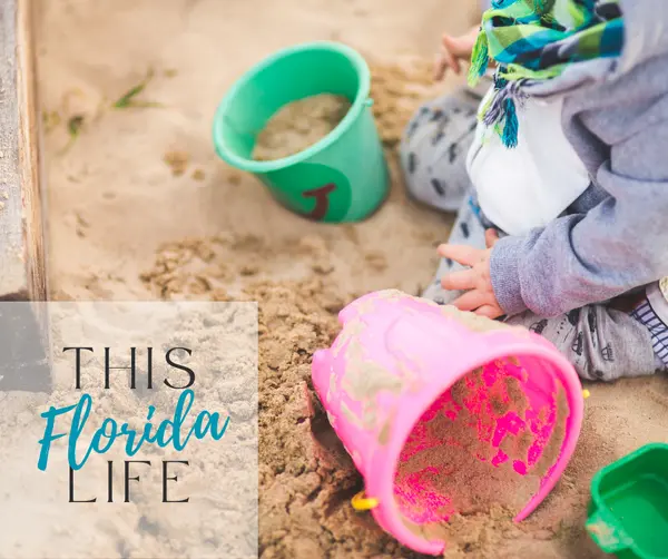 Summer Break Ideas for Clay County Families