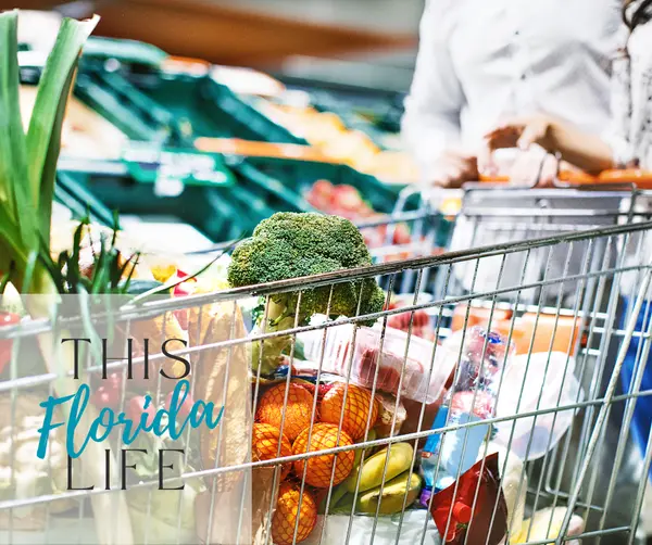 Busy Family Guide: Best Convenience Spots & Services