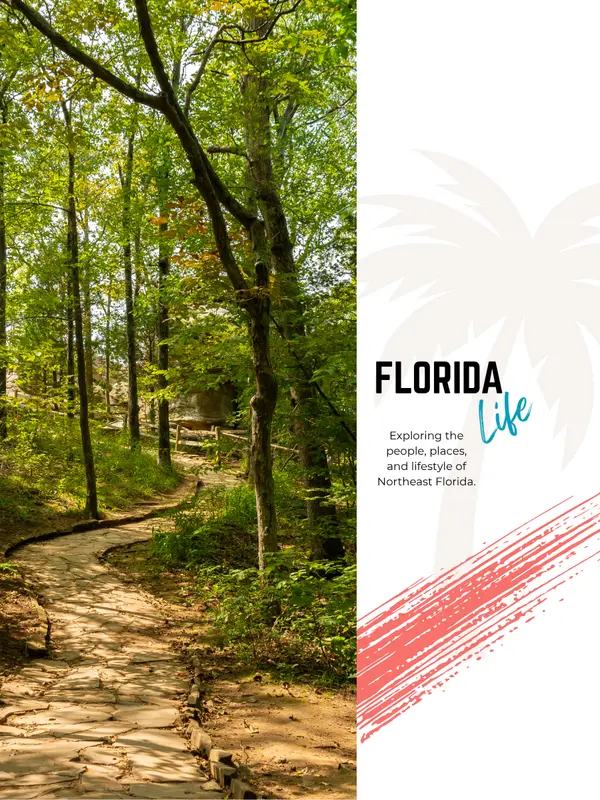 Nature in Your Backyard: Parks, Springs & More,Kristie Hamilton