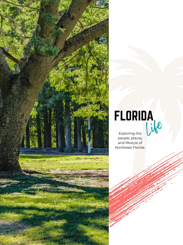 feature image of Best Parks in Clay County for Families