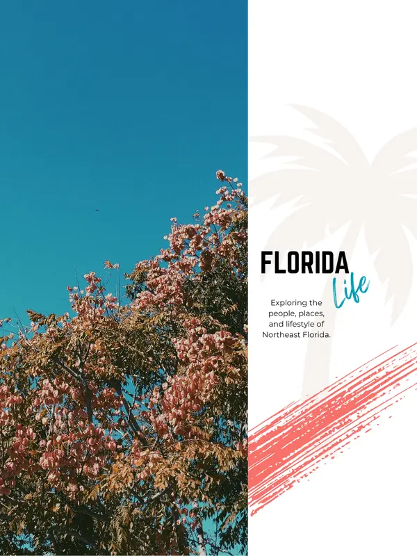 Florida Fall Bucket List: Adventures Beyond the Beach,Kristie Hamilton