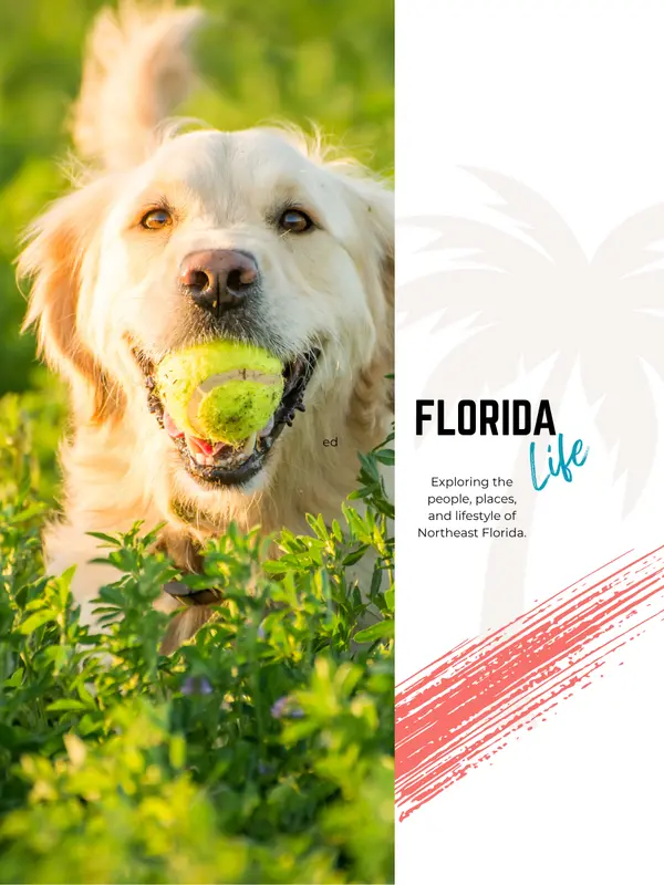 Dog-Friendly Spots & Pet-Loving Florida Life