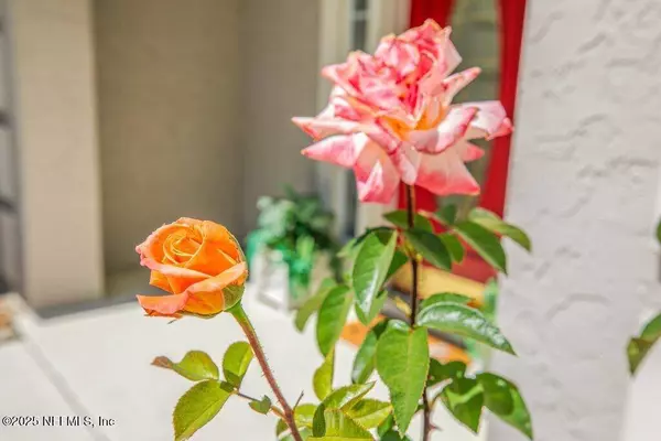 388 LOLLY LN, St. Johns, FL 32259