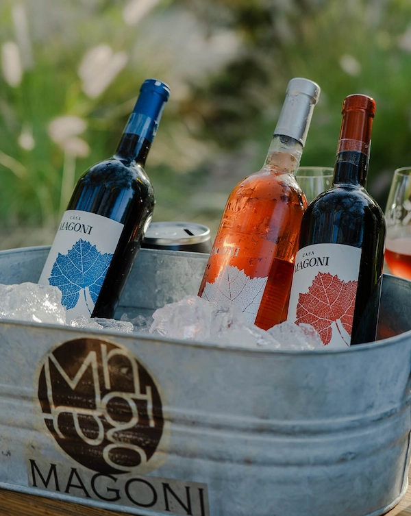 chefs x los cabos 2025 wines