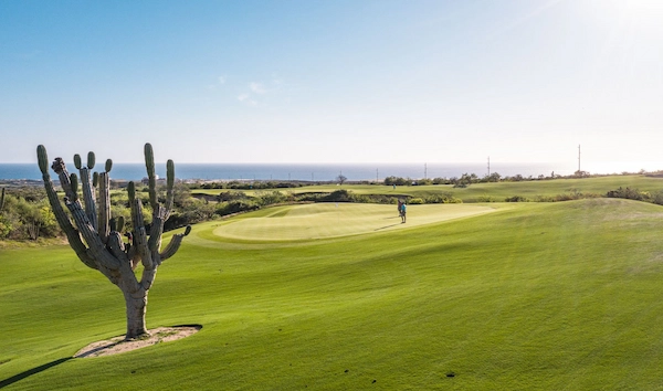 Los Cabos: Mexico’s Premier Golf Destination El Cardonal
