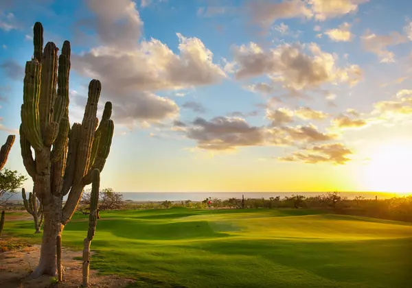 Golf_ElCardonal_14_2
