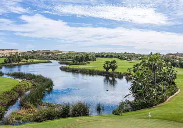 Golf_Oasis_5