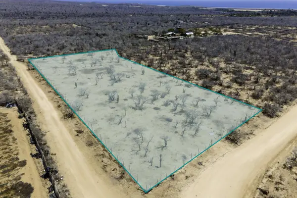 Lote Ramirez, Pacific, BCS