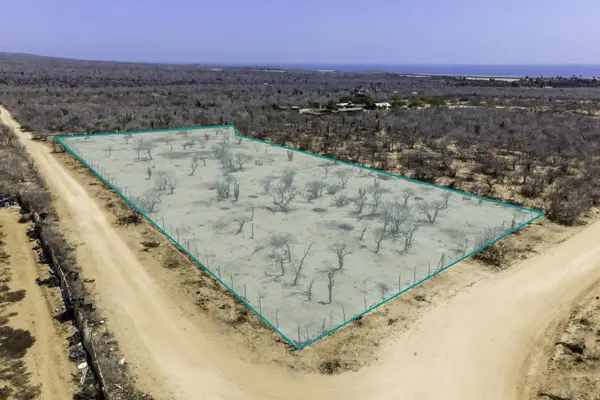 Lote Ramirez, Pacific, BCS