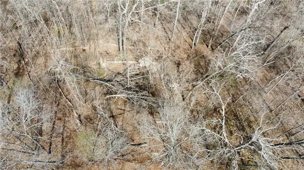 Sorbie Dr, Bella Vista, AR 72715