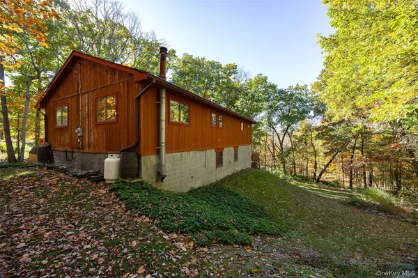 1259 N Anson RD, Stanfordville, NY 12581