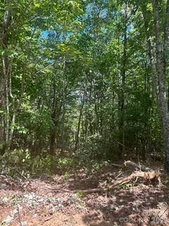0000 Duck Creek RD, Lenoir, NC 28645