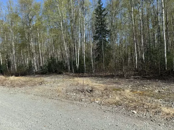 20001 E Goshawk WAY, Willow, AK 99688