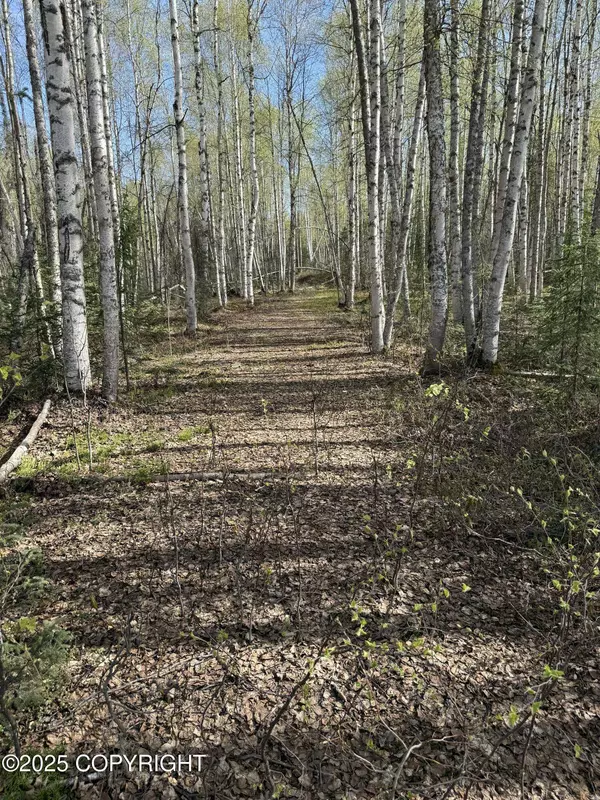 20001 E Goshawk WAY, Willow, AK 99688