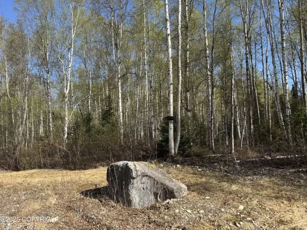 20001 E Goshawk WAY, Willow, AK 99688