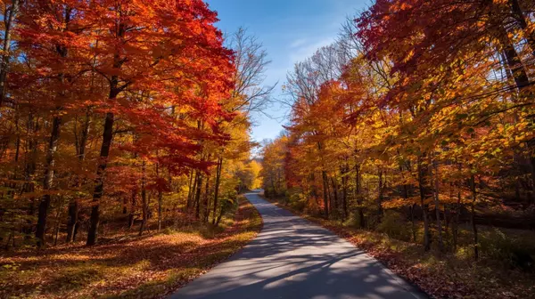 Fall Activities in Essex County, NJ: Embrace the Magic of Autumn