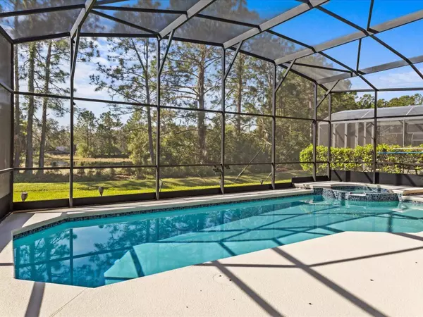 161 ORANGE COSMOS BLVD, Davenport, FL 33837