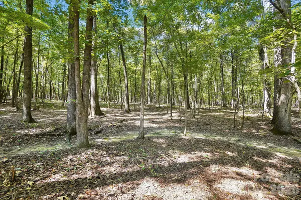 Lot 2 Indian Trail Fairview RD, Indian Trail, NC 28079
