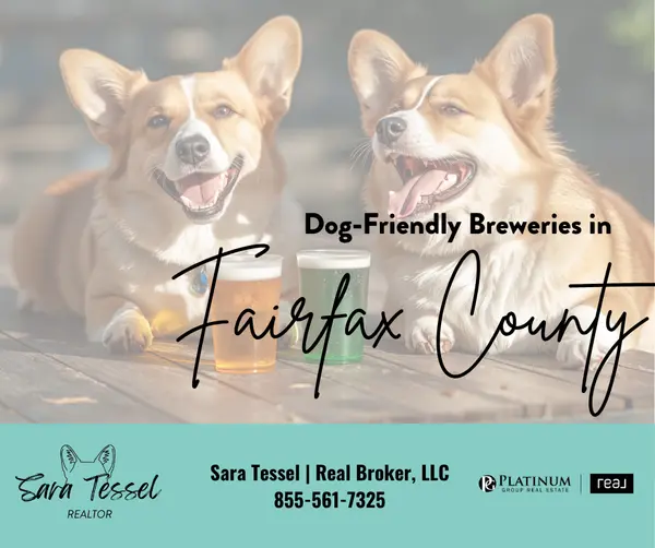 feature image of Dog Friendly Fairfax County Breweries
