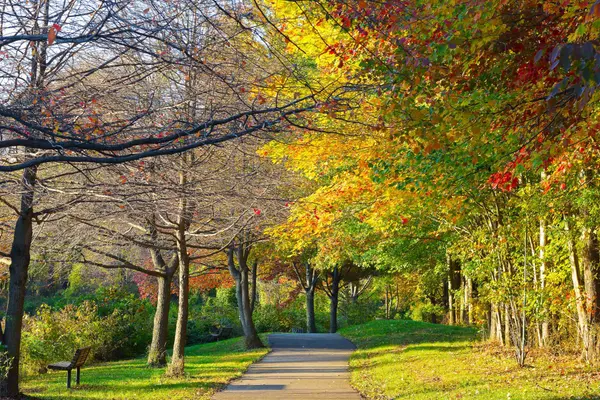 falls church 1