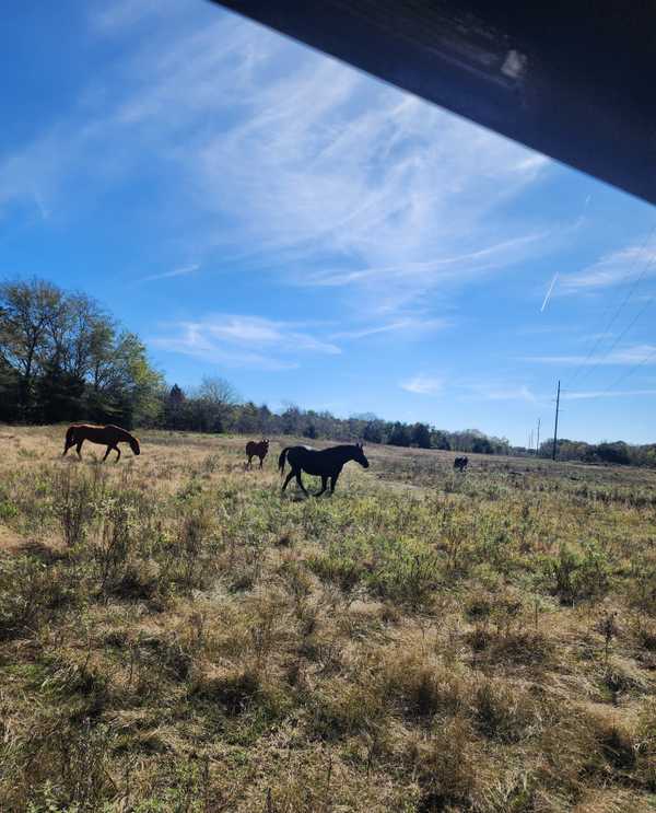 Clifton Rd, Marietta, OK 73448