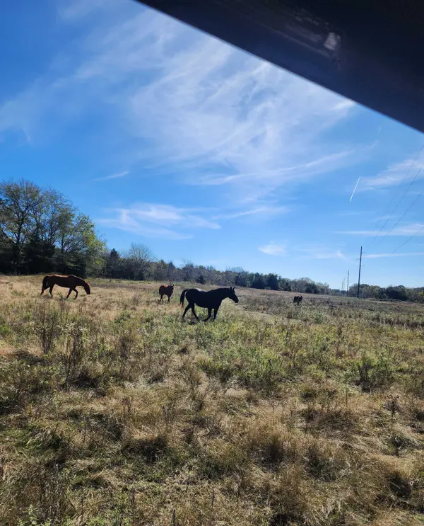 Clifton Rd, Marietta, OK 73448