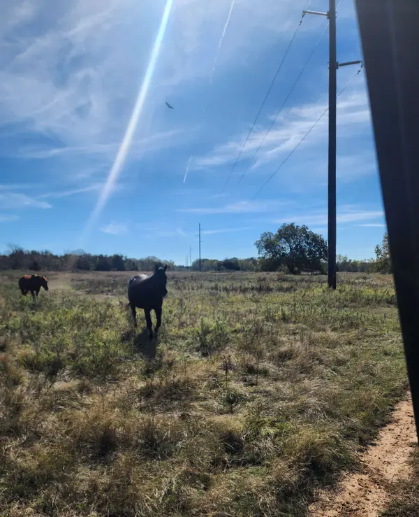 Clifton Rd, Marietta, OK 73448
