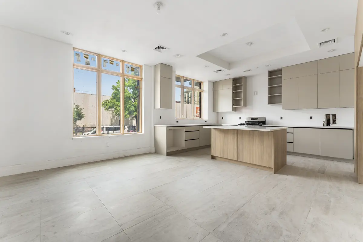 610 Dekalb Ave #1 + BSMNT + private entrance, backyard, Brooklyn, NY 11205-4904
