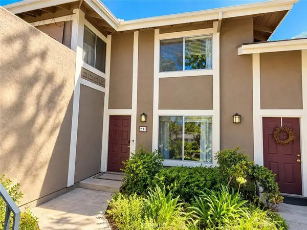 231 Gazania CT