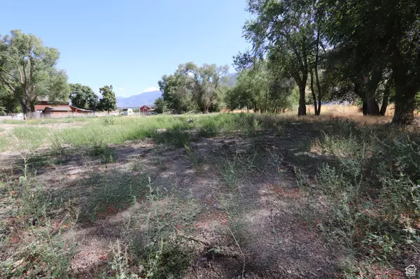 1314 E VICTOR LN, Draper, UT 84020