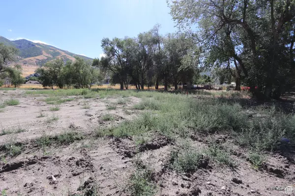 1314 E VICTOR LN, Draper, UT 84020