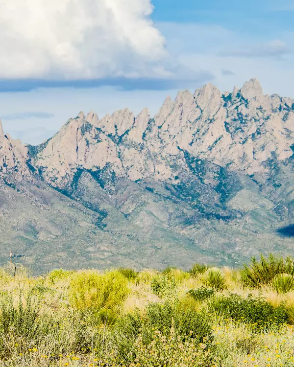24 Hours in Las Cruces: You’d Be Surprised...