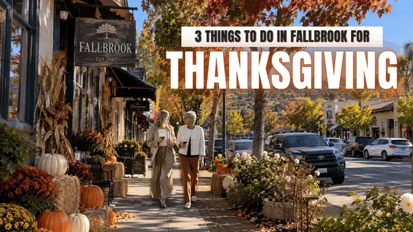 3 Things to Do in Fallbrook for Thanksgiving,Paige Hardy Hill