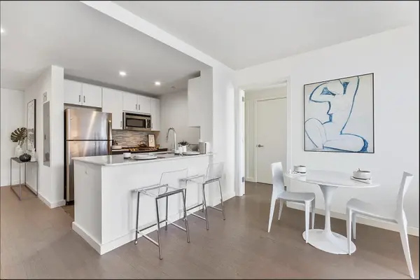 250 N 10th St #433, Brooklyn, NY 11211-2810