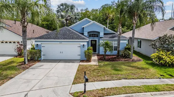 2634 PALESTA DR, Trinity, FL 34655