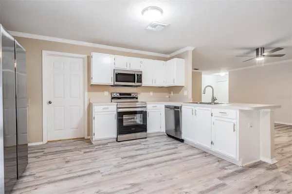 13721 FAREHAM RD, Odessa, FL 33556