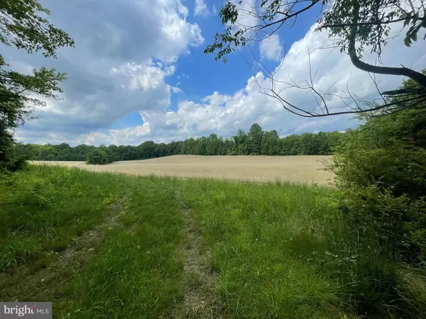 17308 QUEEN ANNE BRIDGE RD, Bowie, MD 20716