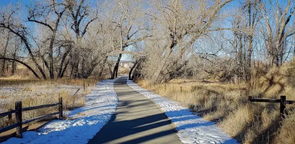 How Much House Can You Comfortably Afford in Chesterfield (Without Feeling House-Poor),Ashlee Bonds