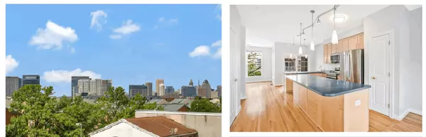 How to Deal with a Water Emergency | Are You Ready for the Changes on Maryland Roads? | Don't Dump This in the Drain | Winterize Your Garden,Jen Ward