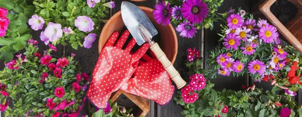 Save on Next Year's Taxes With This Home Improvement | Spring Home Maintenance and Gardening Tips