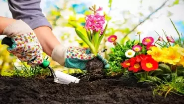 Save on Next Year's Taxes With This Home Improvement | Spring Home Maintenance and Gardening Tips